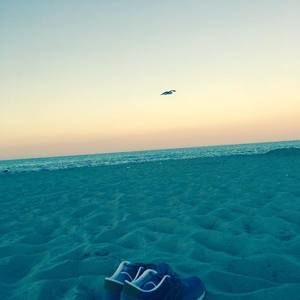 Meet your Posher, Corey